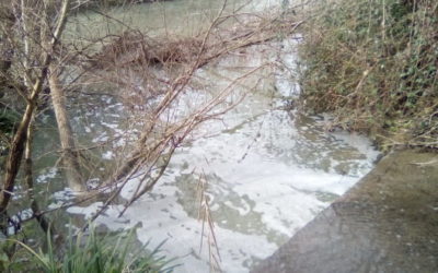 Fiume Ufita, situazione incontrollabile: salute pubblica a rischio, esposto U.Di.Con