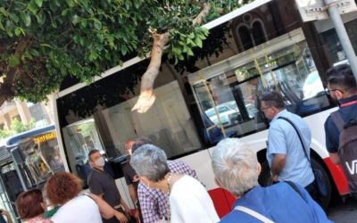 Ramo tranciato da un autobus di passaggio in Piazza Vittorio Veneto a Salerno crolla sul mezzo mentre vi salivano i passeggeri  
