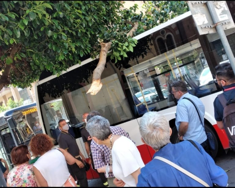 Ramo tranciato da un autobus di passaggio in Piazza Vittorio Veneto a Salerno crolla sul mezzo mentre vi salivano i passeggeri  