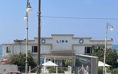 Testa di barracuda da 24 ore lasciata sulla spiaggia a Mercatello nonostante le continue richieste di intervento del gestore di uno stabilimento balneare. Tanfo insopportabile per le strade e cittadini costretti a rimanere chiusi in casa