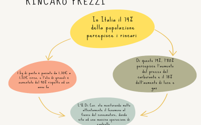 Prezzi alle stelle e consumi al ribasso. Iniziativa di U.Di.Con per la verifica dei prezzi